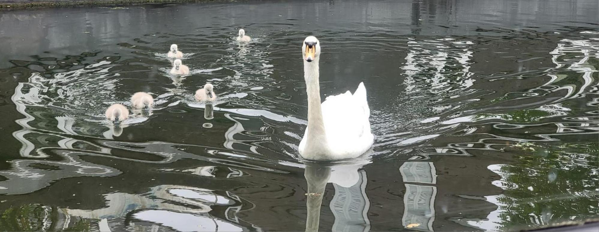 מלון לונדון Comfy Canal Boat In Little Venice For Family & Friends מראה חיצוני תמונה